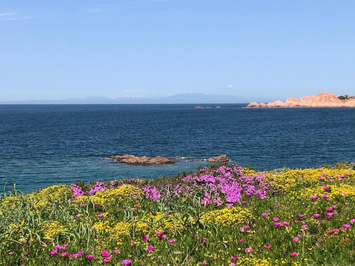 Borgo Spiaggia イーゾラ・ロッサ エクステリア 写真
